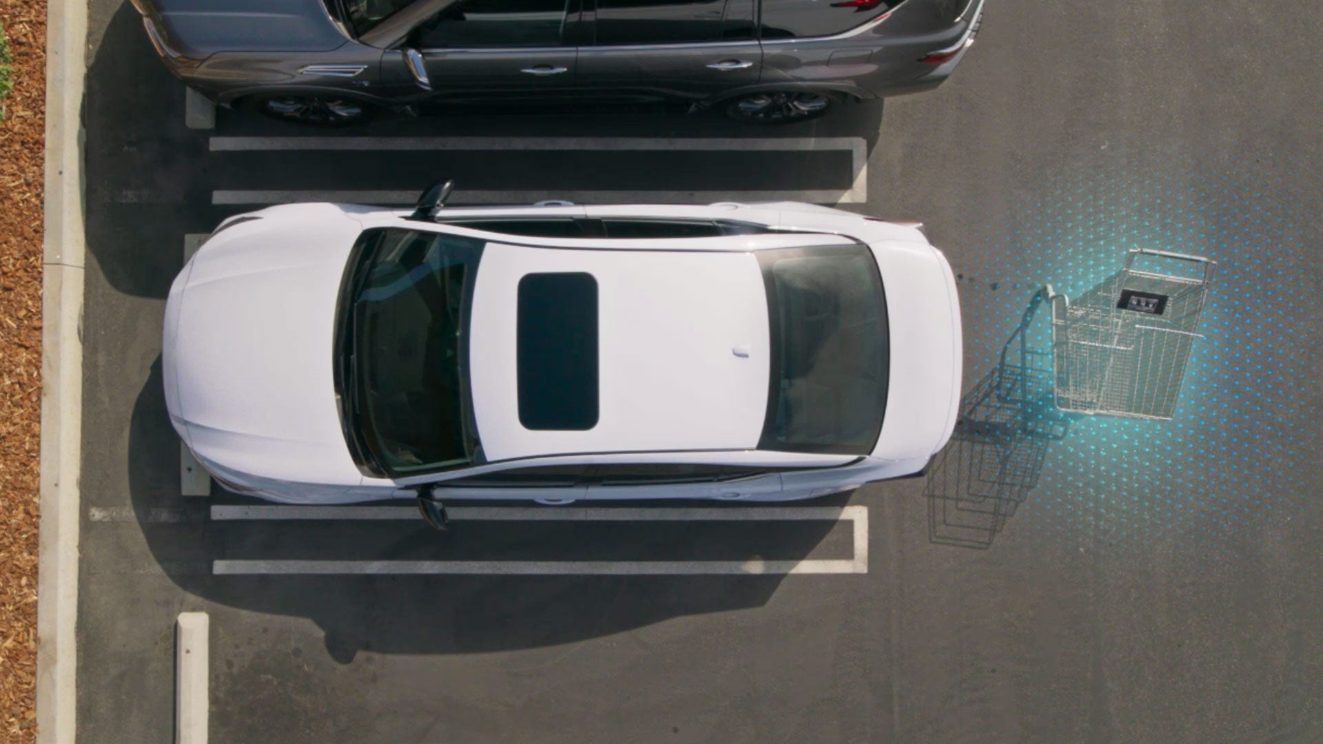 2026 Nissan Altima | Nissan of Las Cruces in Las Cruces, NM