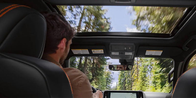 Man driving a car with an open sunroof, looking out at sunlit trees.