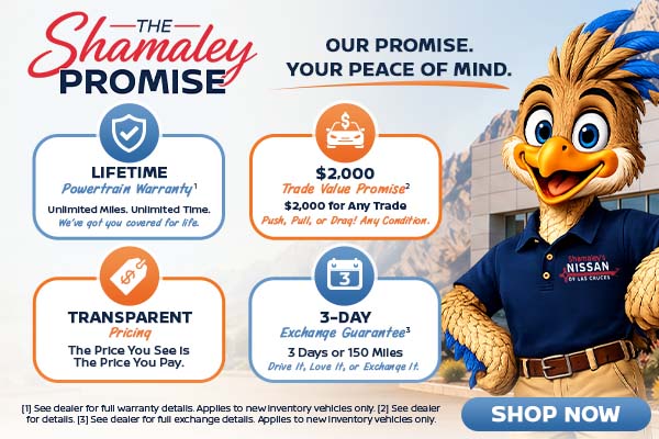 Shamaley Promise